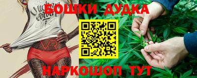 дмт Обь