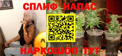 дмт Обь