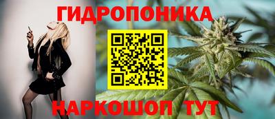 дмт Обь