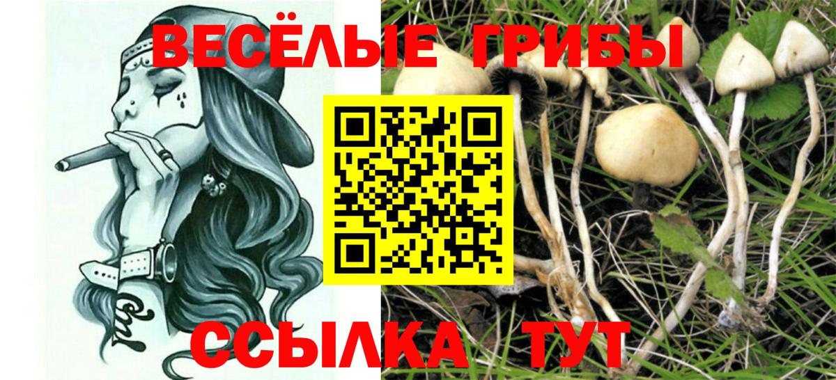 Псилоцибиновые грибы MAGIC MUSHROOMS  Вход с VPN  Сорочинск 